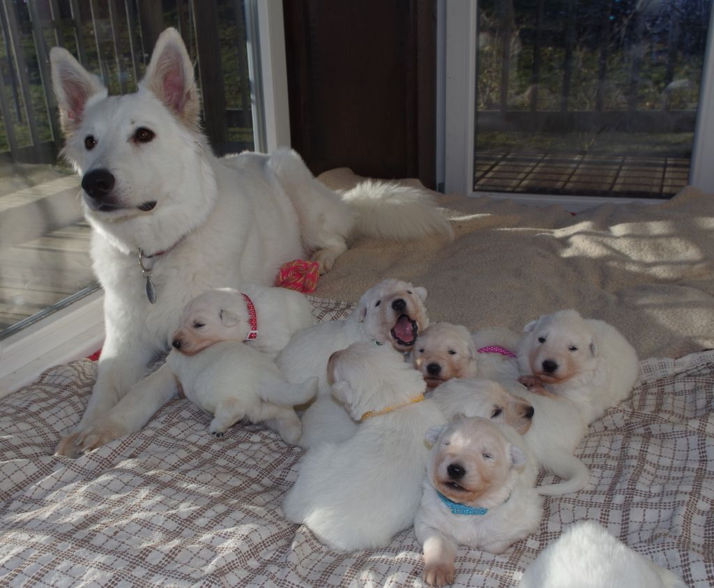 BAIN DE SOLEIL EN FAMILLE